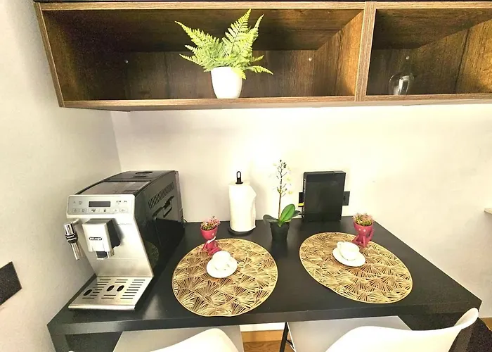 Bright Retreat With Outdoor Terrace&garage Apartment *